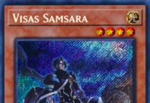 Visas Samsara