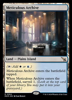 Meticulous Archive 