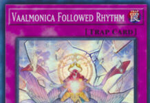 Vaalmonica Followed Rhythm