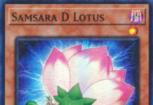 Samsara D Lotus