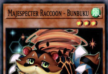 Majespecter Raccoon - Bunbuku