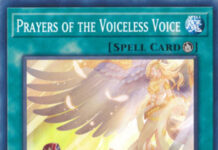 Prayers of the Voiceless Voice