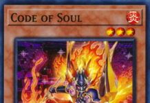 Code of Soul