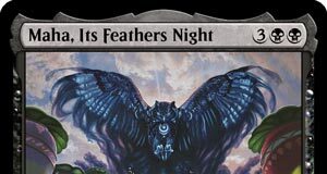 Maha, Its Feathers Night