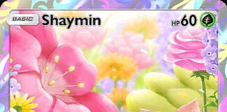 Shaymin Space Time