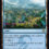 Mistrise Village – Tarkin: Dragonstorm MTG Card of the Day