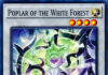 Poplar of the White Forest