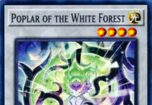 Poplar of the White Forest
