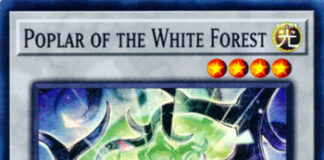 Poplar of the White Forest