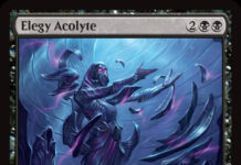 Elegy Acolyte