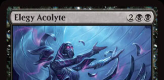 Elegy Acolyte