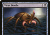 Virus Beetle