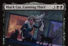 Black Cat, Cunning Thief