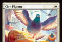 City Pigeon