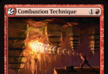 Combustion Technique